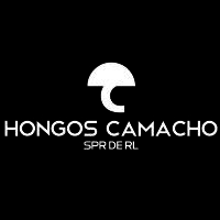 Producción de hongo seta